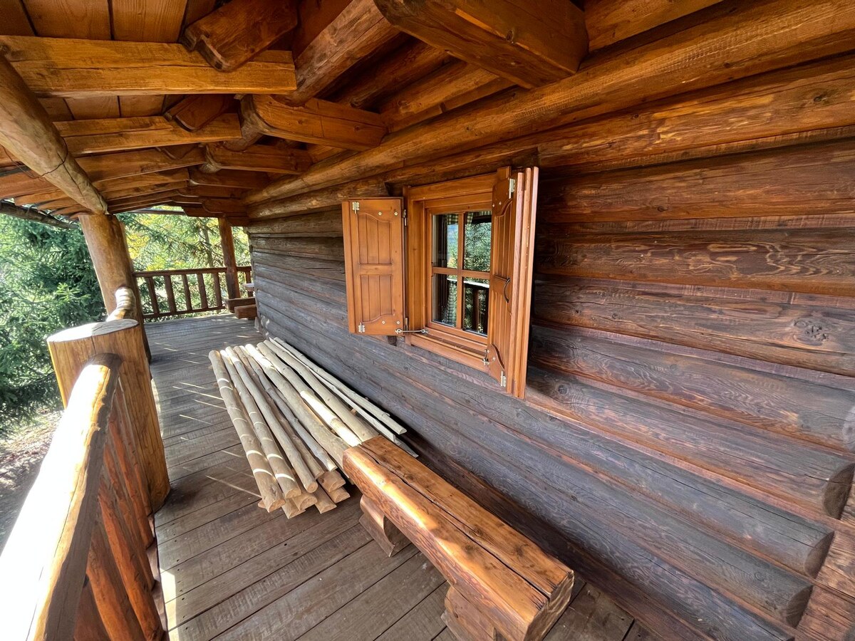LUXUSNÝ 18 ročný ZRUB VENDELÍN na pozemku 3308 m2, NOVÁ BAŇA — foto 22