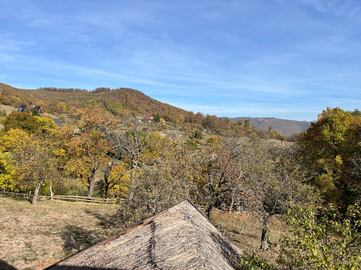 LUXUSNÝ ZRUB VENDELÍN - drevo + kameň, pozemok 3308 m2, NOVÁ BAŇA — foto 32