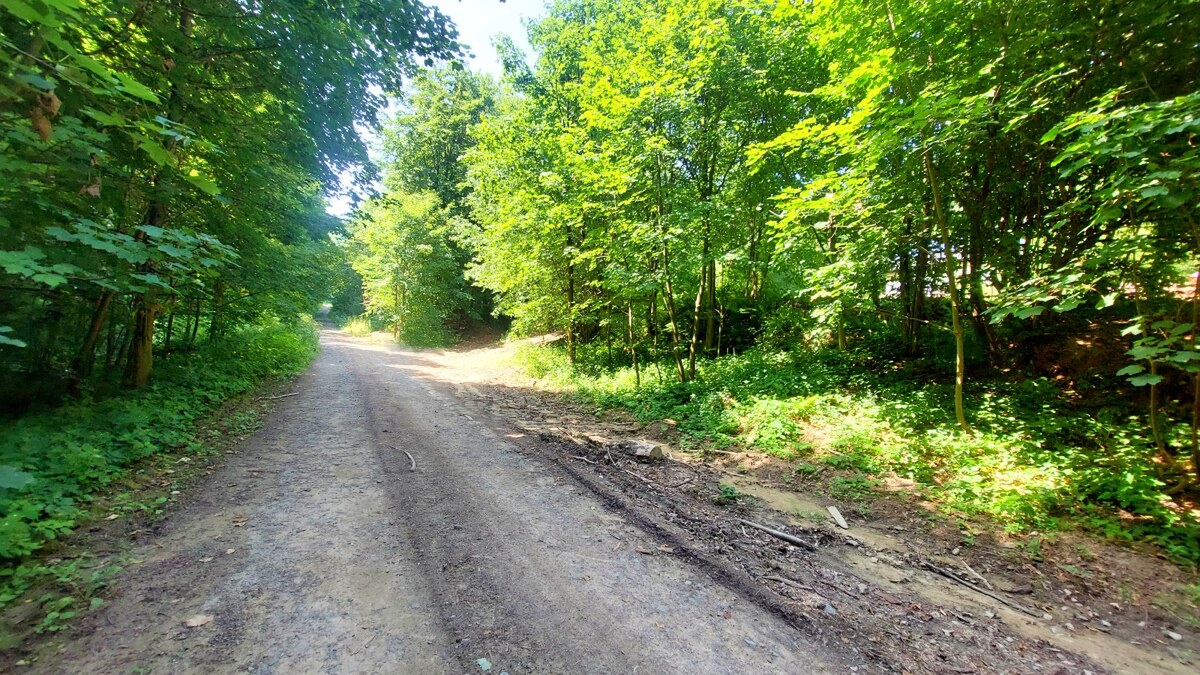 NA PREDAJ pekná CHATKA PRIAMO V LESE, ŠIBA, okr. Bardejov — foto 14