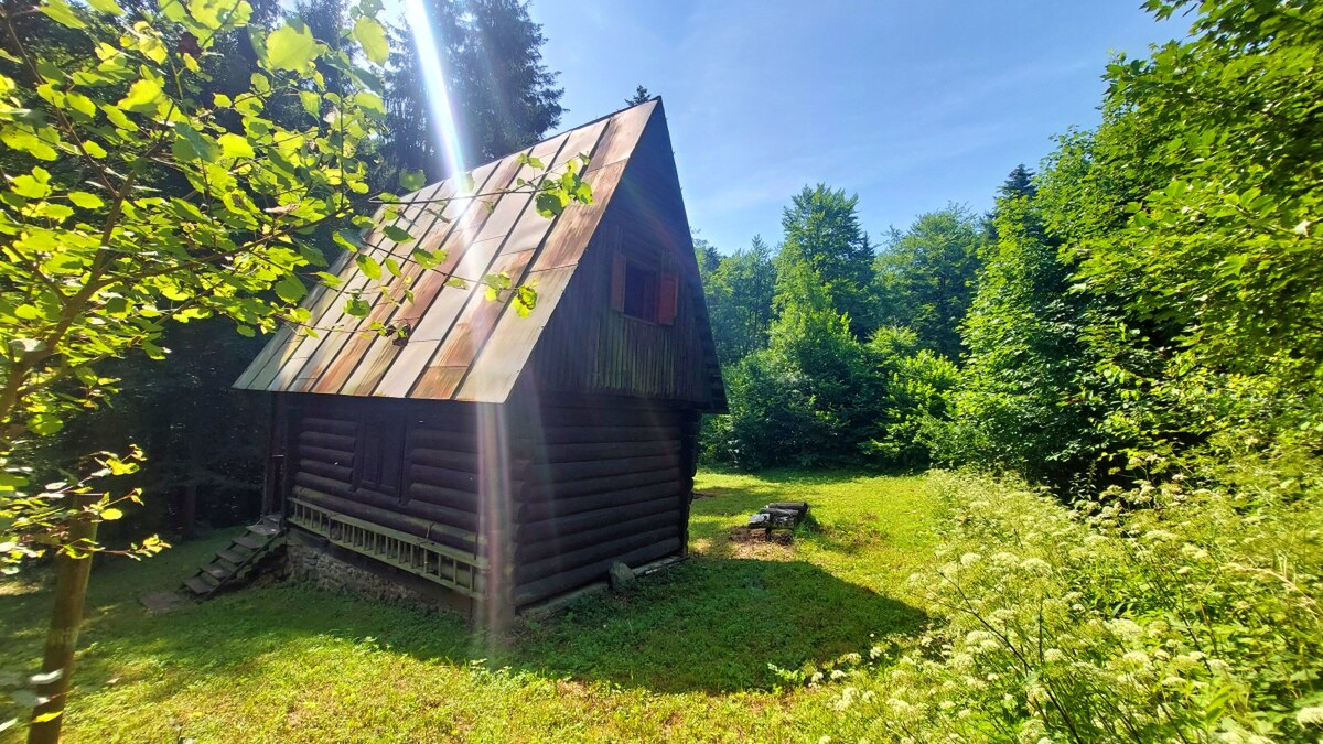 NA PREDAJ pekná CHATKA PRIAMO V LESE, ŠIBA, okr. Bardejov — foto 2