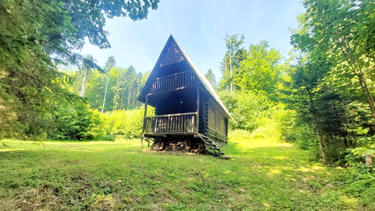 NA PREDAJ pekná CHATKA PRIAMO V LESE, ŠIBA, okr. Bardejov — foto 4