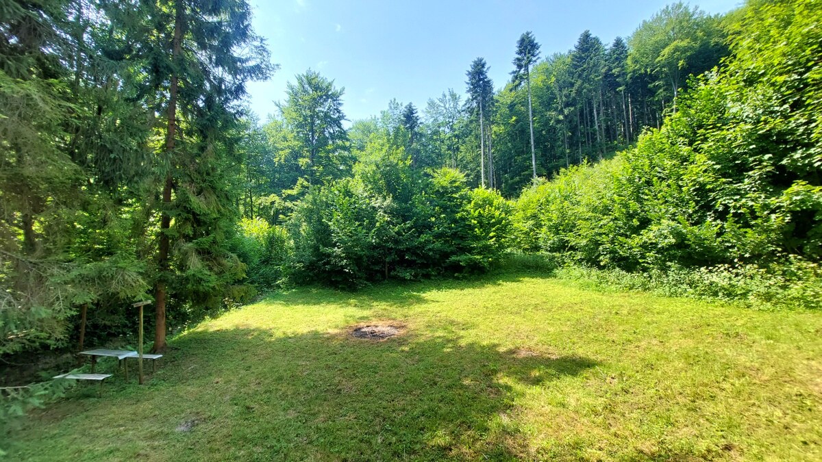 NA PREDAJ pekná CHATKA PRIAMO V LESE, ŠIBA, okr. Bardejov — foto 5