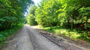 NA PREDAJ pekná CHATKA PRIAMO V LESE, ŠIBA, okr. Bardejov — foto 14