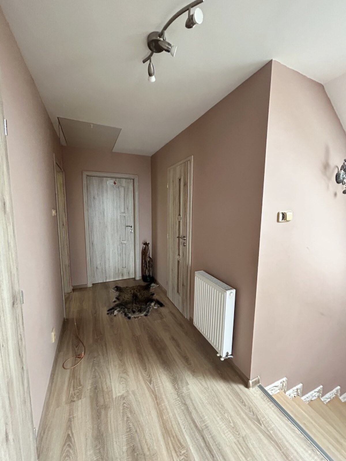 Znížená cena ! 5- IZBOVÝ RODINNÝ DOM ,1354 m2, OKRUŽNÁ, OKR.PREŠOV — foto 21
