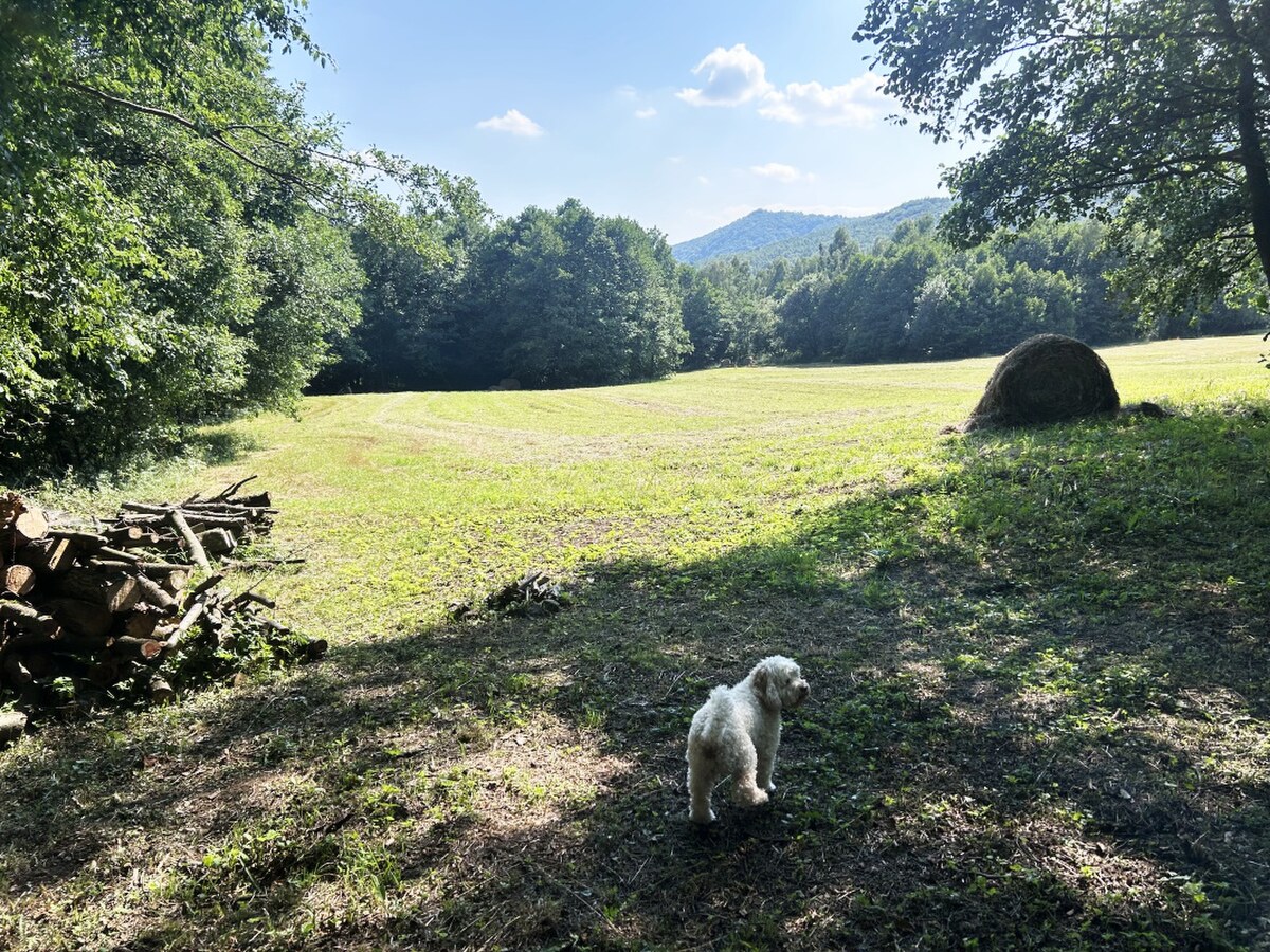 7 028 m² v SRDCI PRÍRODY – VEĽKÝ INVESTIČNÝ POZEMOK, ZLATÁ BAŇA — foto 2