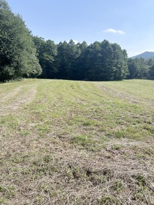 7 028 m² v SRDCI PRÍRODY – VEĽKÝ INVESTIČNÝ POZEMOK, ZLATÁ BAŇA — foto 7