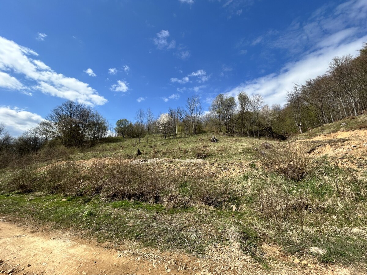 STAVEBNÝ POZEMOK NA PREDAJ, ZLATÁ BAŃA 3104 m2 — foto 2