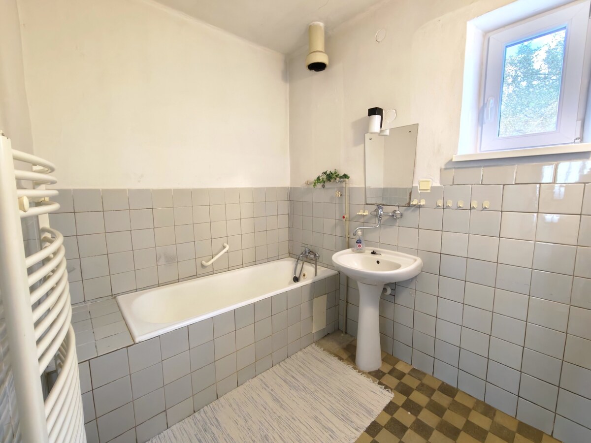 RODINNÝ DOM S VEĽKÝM POZEMKOM V OBCI TULČÍK, 2102 m2 — foto 6