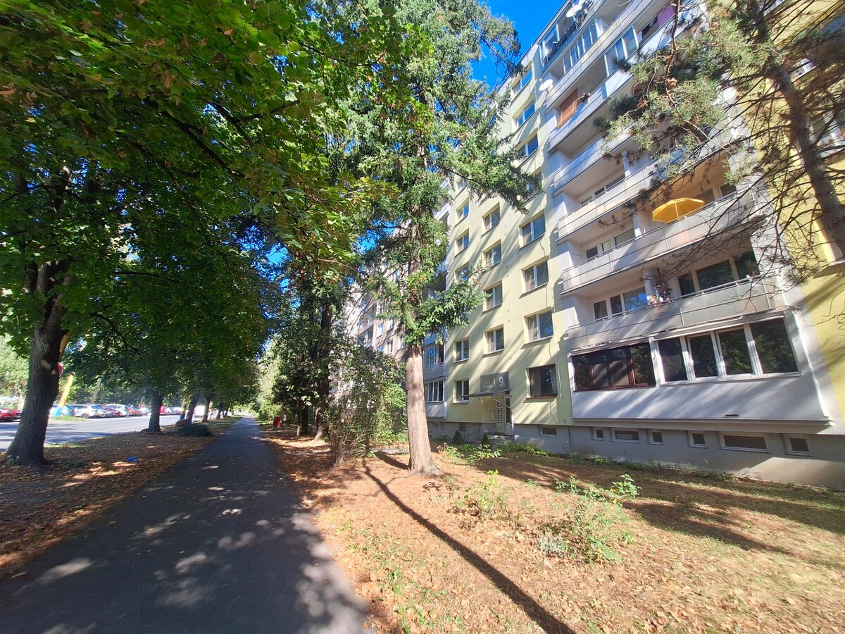 NA PRENÁJOM 2 IZBOVÝ BYT, LODŽIA, PREŠOV, SÍDLISKO III, VL. CLEMENTISA — foto 18