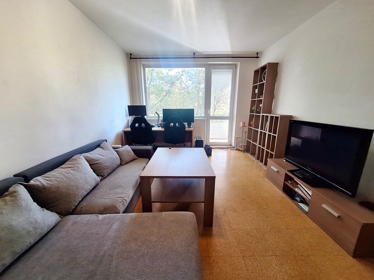 NA PRENÁJOM 2 IZBOVÝ BYT, LODŽIA, PREŠOV, SÍDLISKO III, VL. CLEMENTISA — foto 2