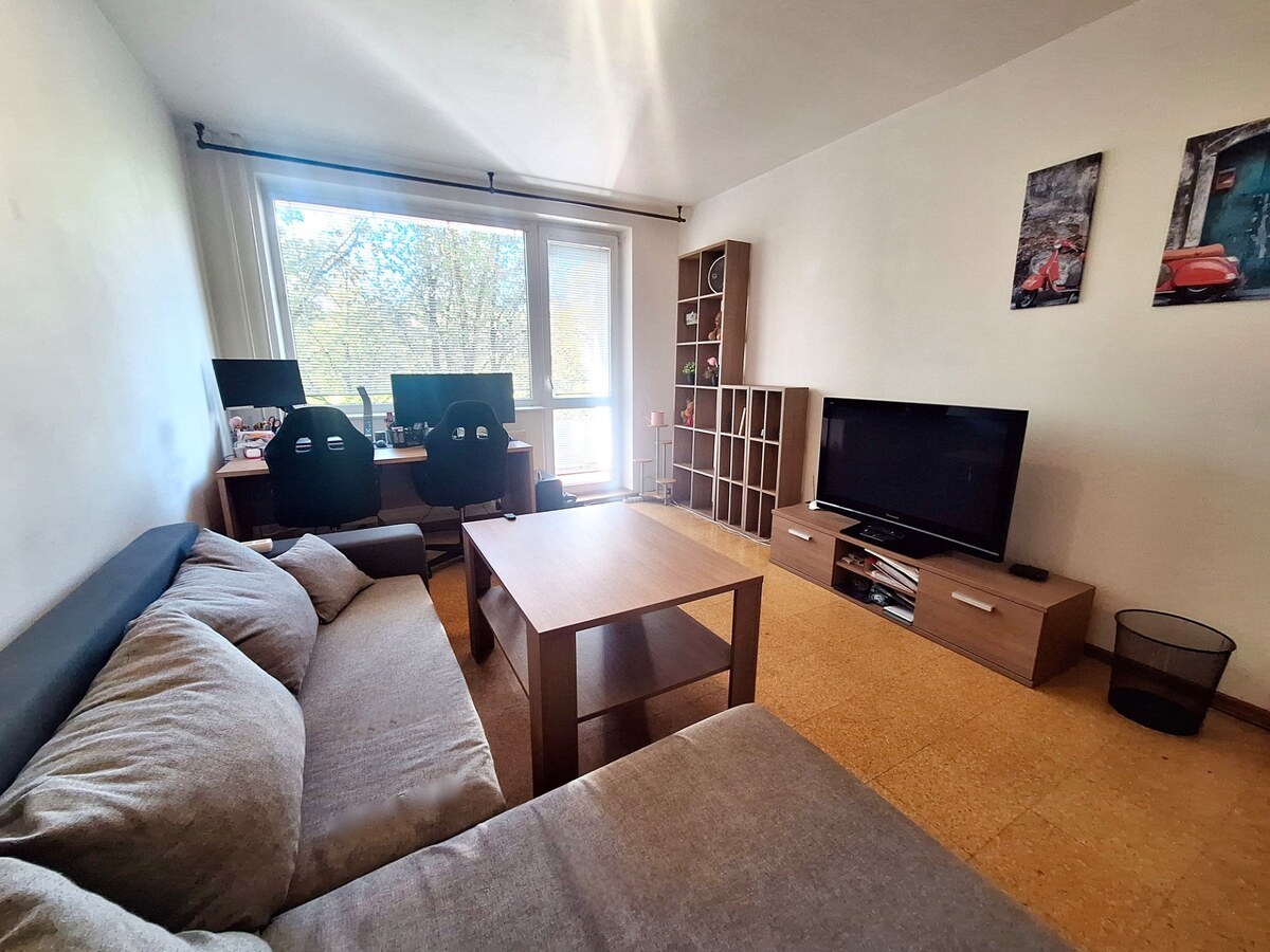 NA PRENÁJOM 2 IZBOVÝ BYT, LODŽIA, PREŠOV, SÍDLISKO III, VL. CLEMENTISA — foto 4