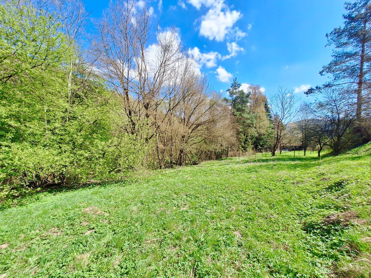 ZĽAVA Z CENY MOŽNA CHALUPA, POZEMOK 15 ÁROV, MARIA HUTA — foto 22