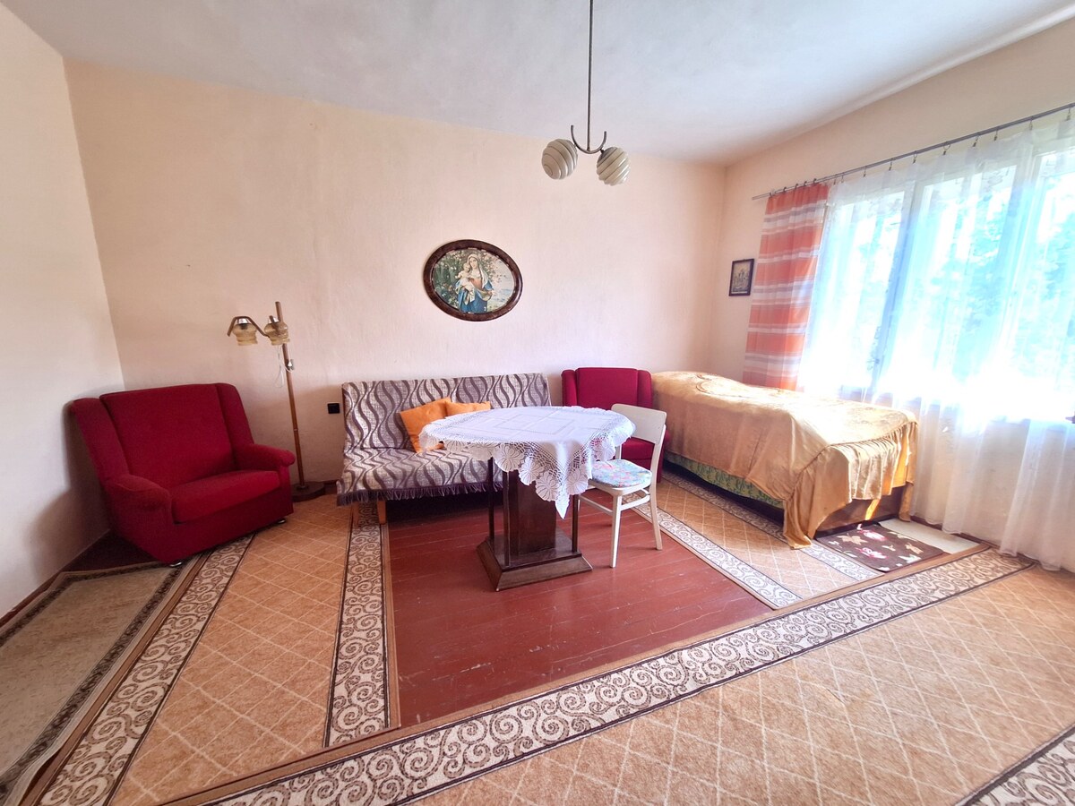 ZĽAVA Z CENY MOŽNA CHALUPA, POZEMOK 15 ÁROV, MARIA HUTA — foto 24