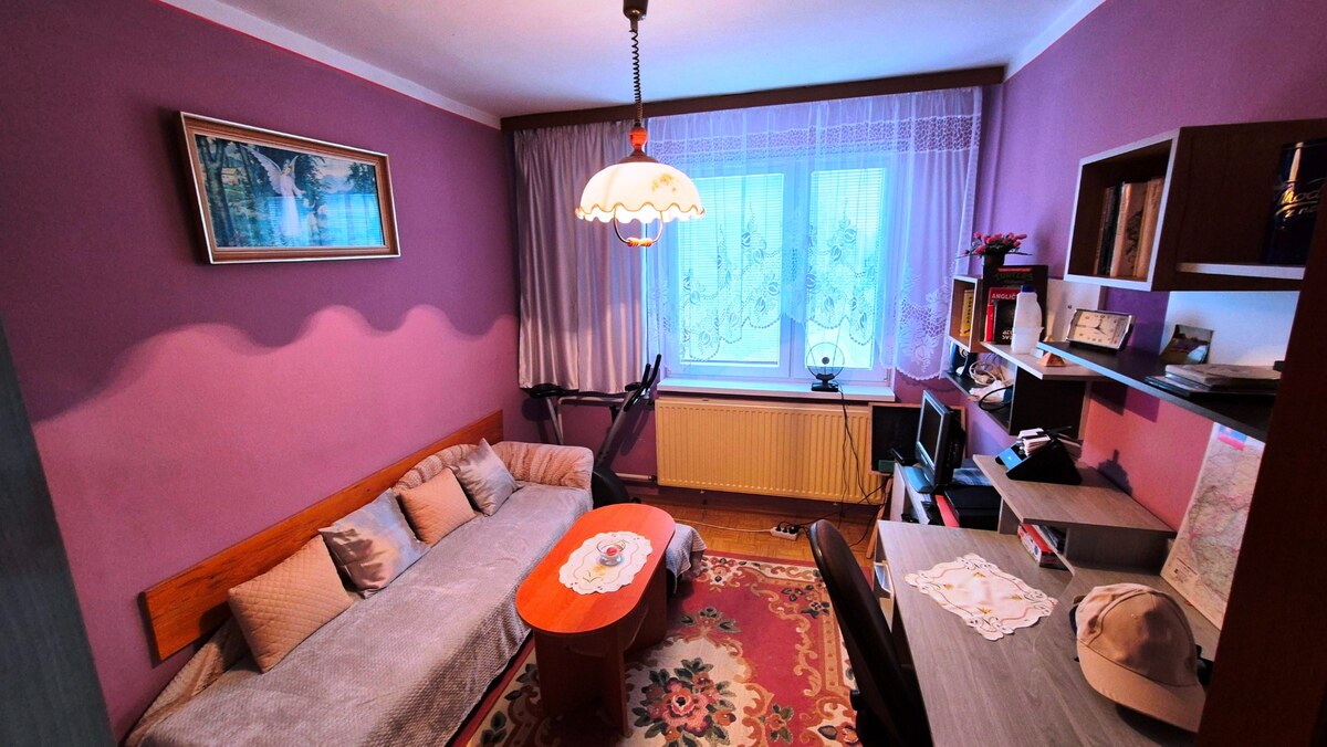 UDRŽIAVANÝ 6 IZBOVÝ RODINNÝ DOM, 1242m2, ÚDOL, — foto 13