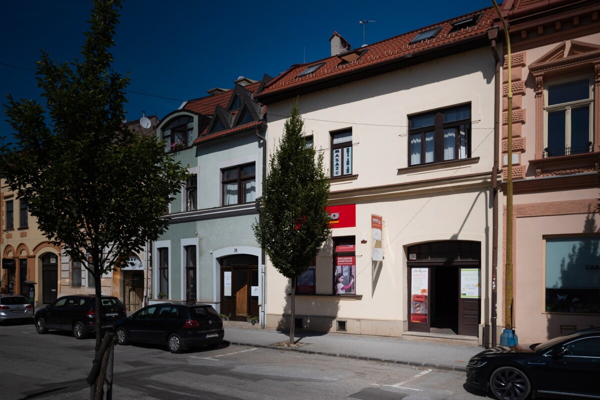 VEĽKÝ 1-IZBOVÝ BYT, 60 m2, PREŠOV – CENTRUM, Slovenská ul.