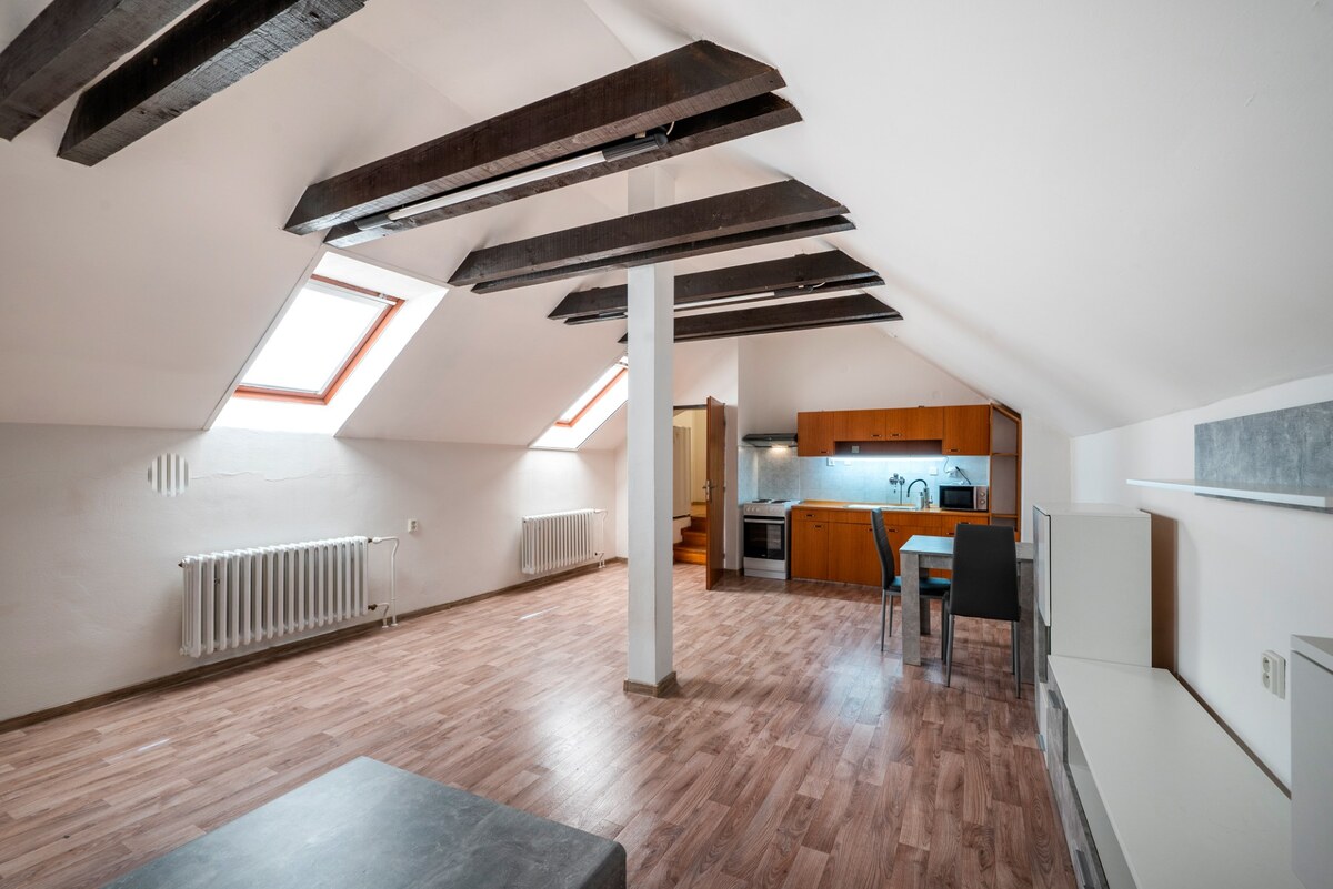 VEĽKÝ 1-IZBOVÝ BYT, 60 m2, PREŠOV – CENTRUM, Slovenská ul. — foto 26