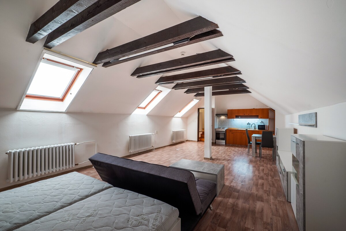 VEĽKÝ 1-IZBOVÝ BYT, 60 m2, PREŠOV – CENTRUM, Slovenská ul. — foto 27