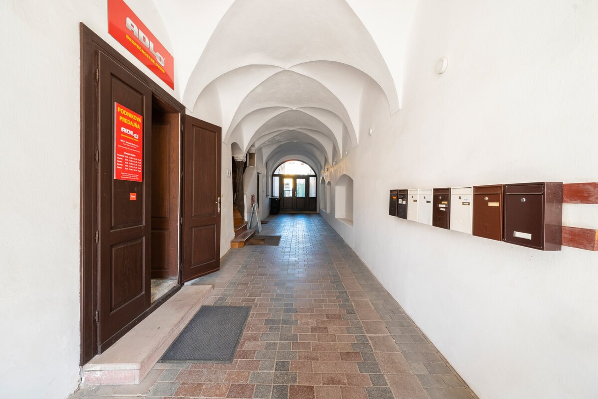 VEĽKÝ 1-IZBOVÝ BYT, 60 m2, PREŠOV – CENTRUM, Slovenská ul. — foto 7