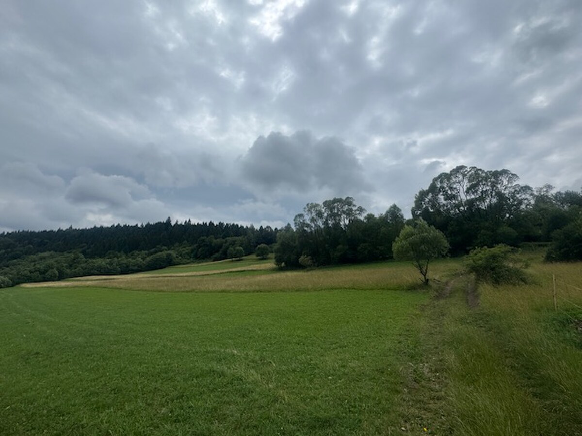 Pozemok Haligovce — foto 3