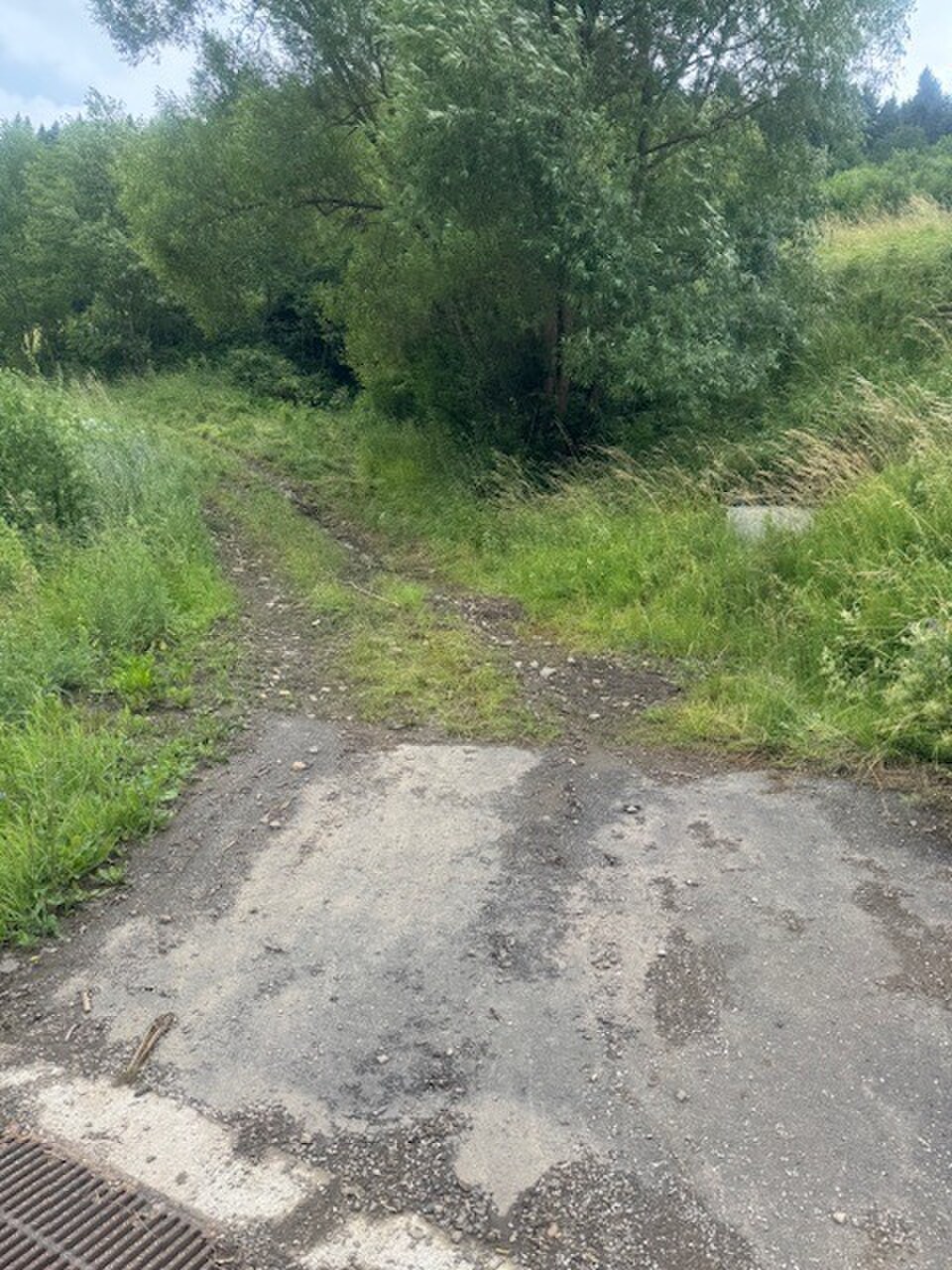 Pozemok Haligovce — foto 6