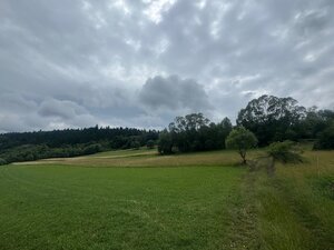 Pozemok Haligovce — foto 3