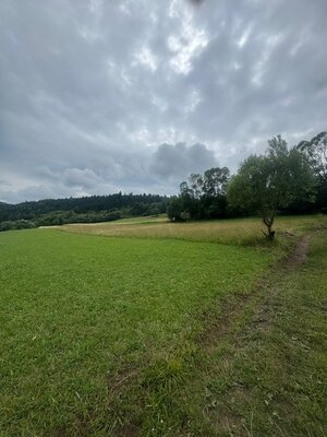 Pozemok Haligovce — foto 4