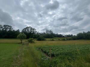 Pozemok Haligovce — foto 5