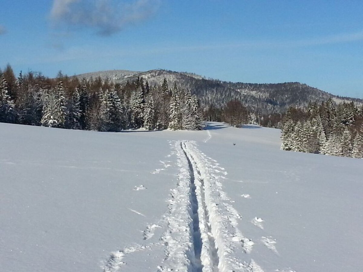 POZEMOK PRI LYŽIARSKOM SVAHU LITMANOVÁ — foto 3