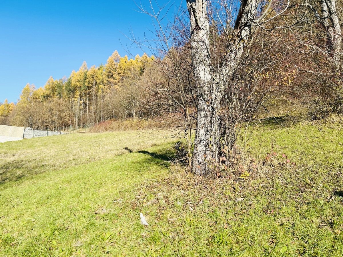KRÁSNY POZEMOK NA PREDAJ 954m2, DÚBRAVA-PREŠOV — foto 2