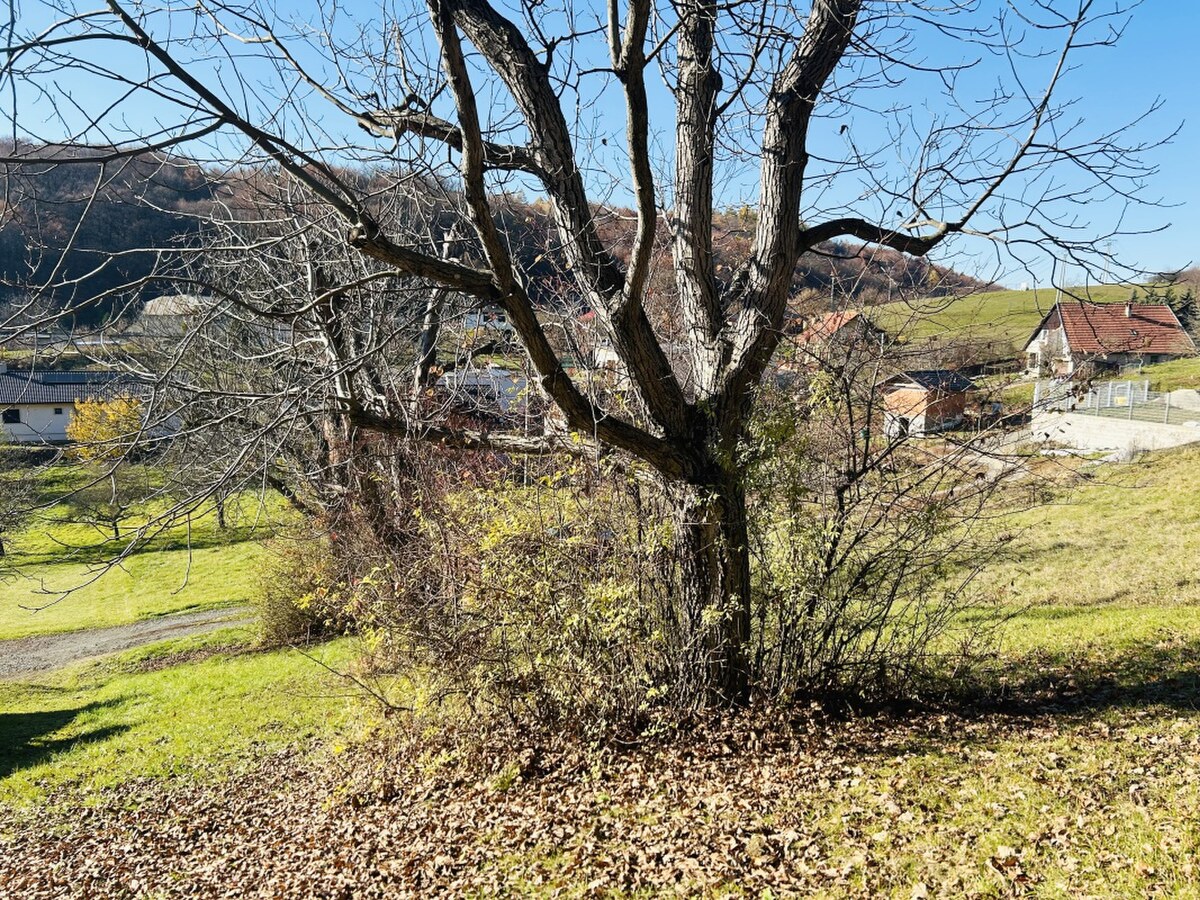 KRÁSNY POZEMOK NA PREDAJ 954m2, DÚBRAVA-PREŠOV — foto 5