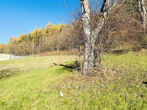 KRÁSNY POZEMOK NA PREDAJ 954m2, DÚBRAVA-PREŠOV — foto 2