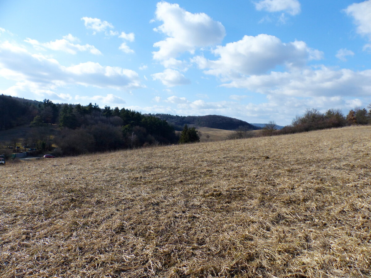 NA PREDAJ INVESTIČNÝ POZEMOK, 5277M2 PREŠOV -VYDUMANEC — foto 11