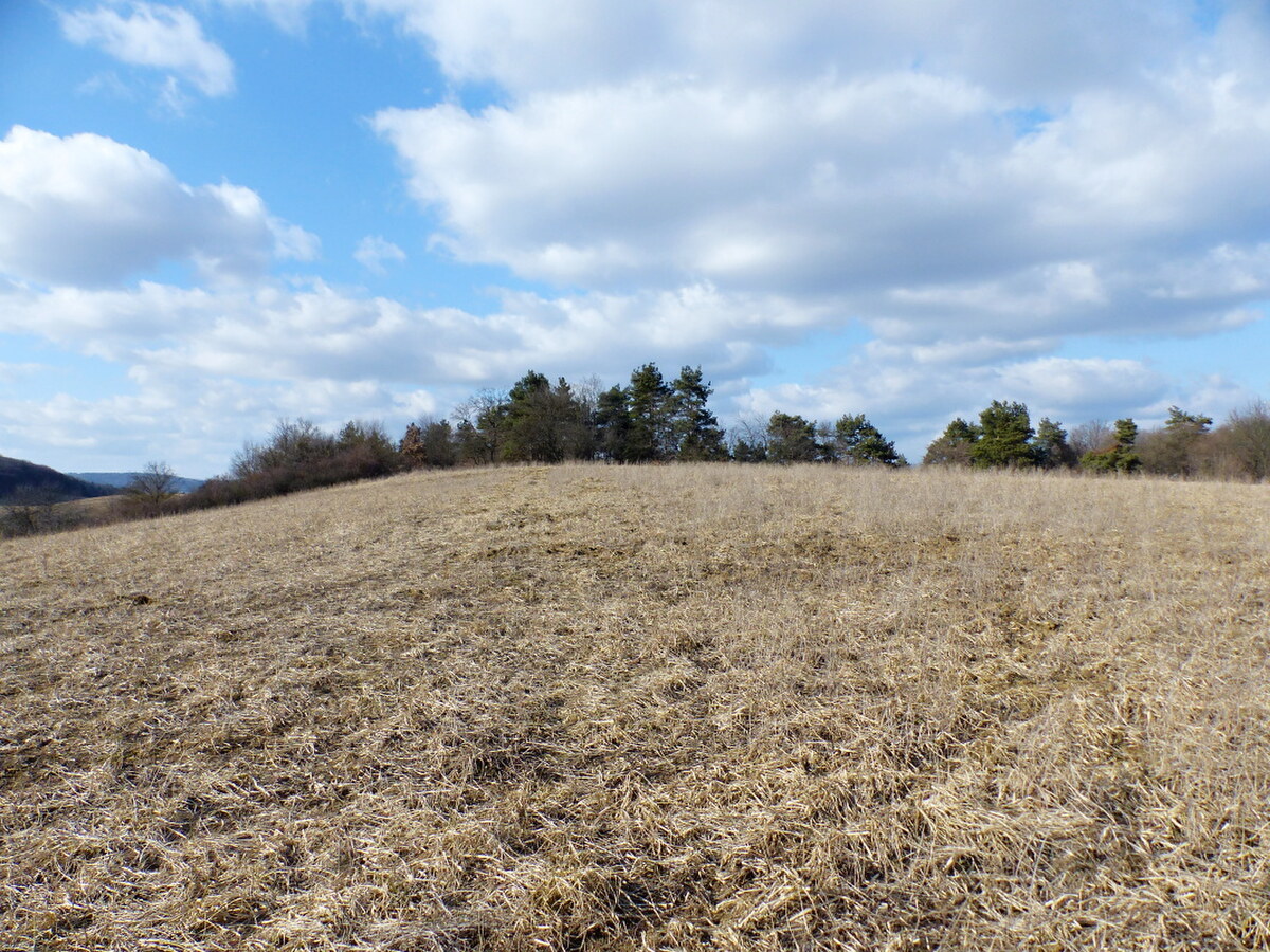 NA PREDAJ INVESTIČNÝ POZEMOK, 5277M2 PREŠOV -VYDUMANEC — foto 12