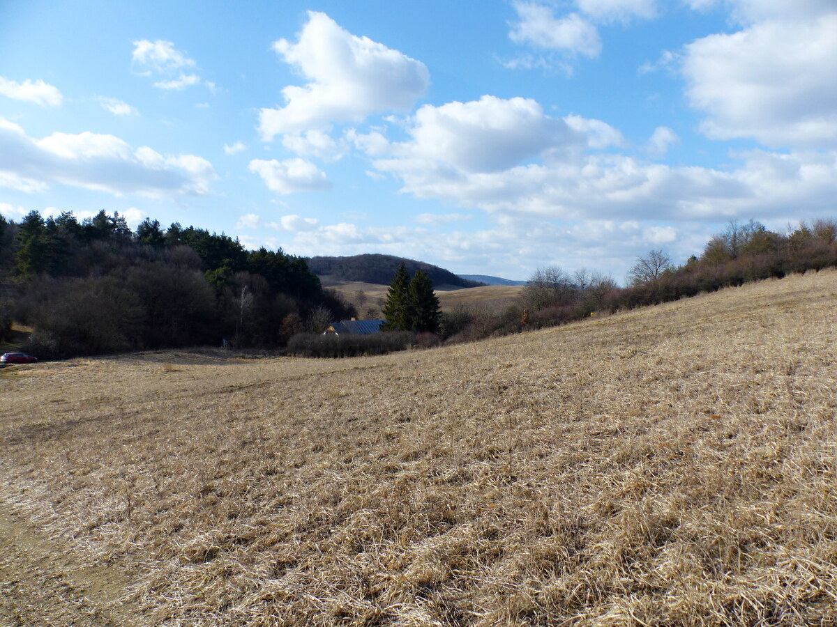 NA PREDAJ INVESTIČNÝ POZEMOK, 5277M2 PREŠOV -VYDUMANEC — foto 3