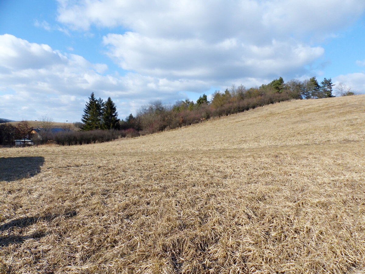 NA PREDAJ INVESTIČNÝ POZEMOK, 5277M2 PREŠOV -VYDUMANEC — foto 4