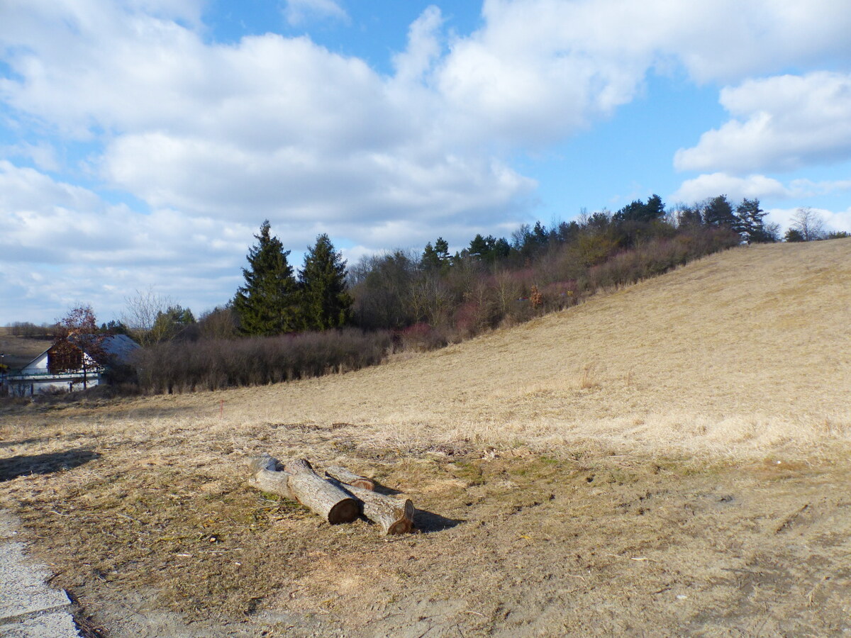 NA PREDAJ INVESTIČNÝ POZEMOK, 5277M2 PREŠOV -VYDUMANEC — foto 5