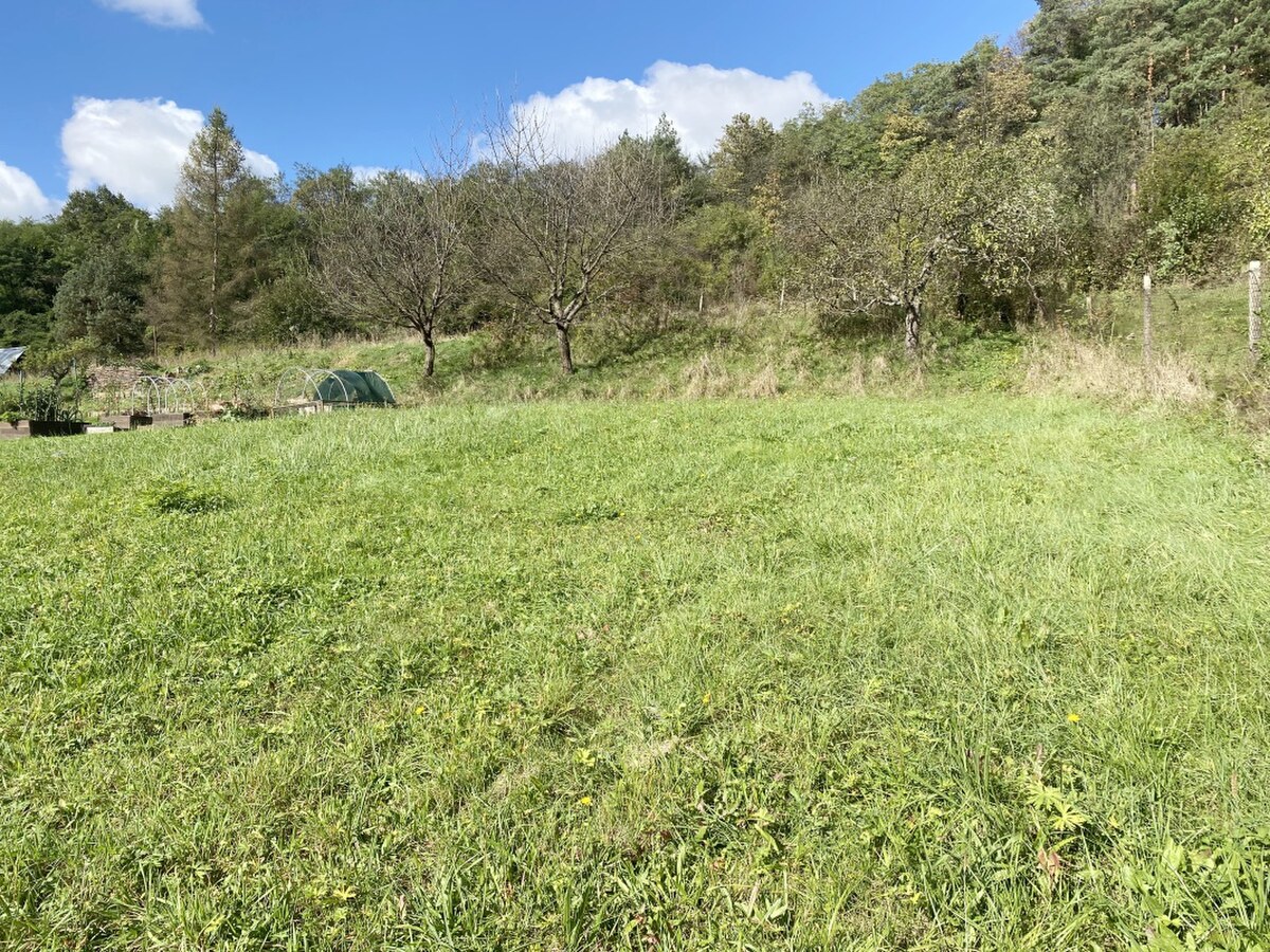 POZEMOK NA PREDAJ ,462 m2,  RADATICE , OKR. PREŠOV — foto 2