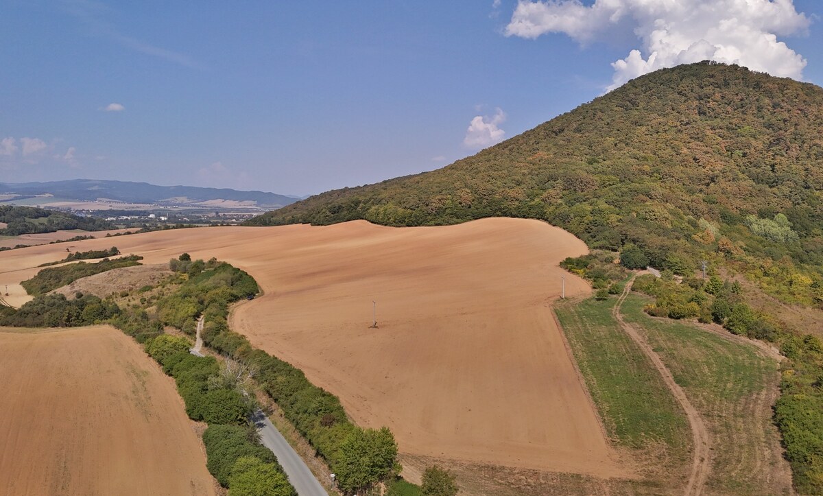 22 542 M2, VÝNIMOČNÝ POZEMOK S VEĽKÝM POTENCIÁLOM, V. ŠARIŠ — foto 3