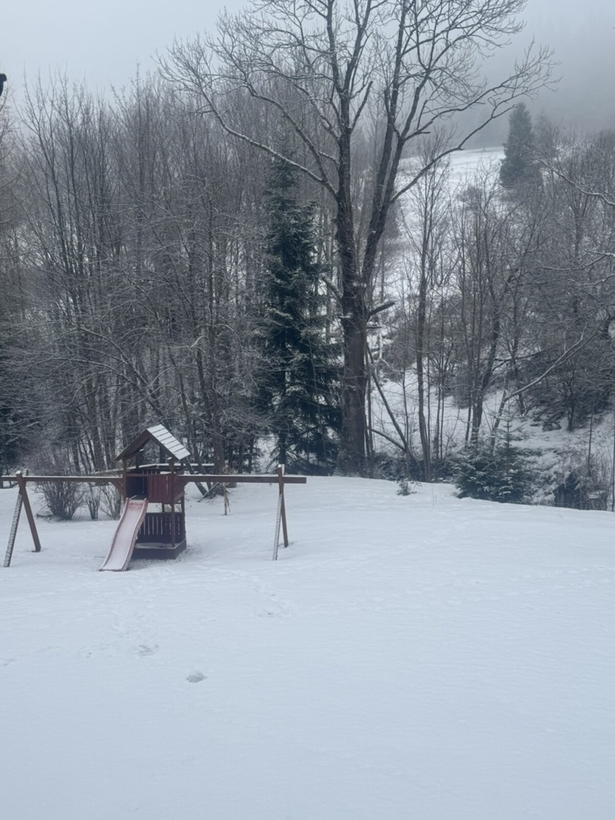 Rekreačný areál - Zálesie — foto 11