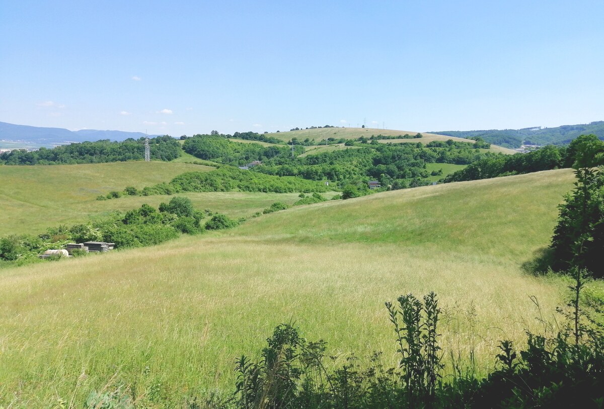 NOVÉ PARCELY určené na IBV! Pozemky Hnevlivá dolina, Prešov — foto 2