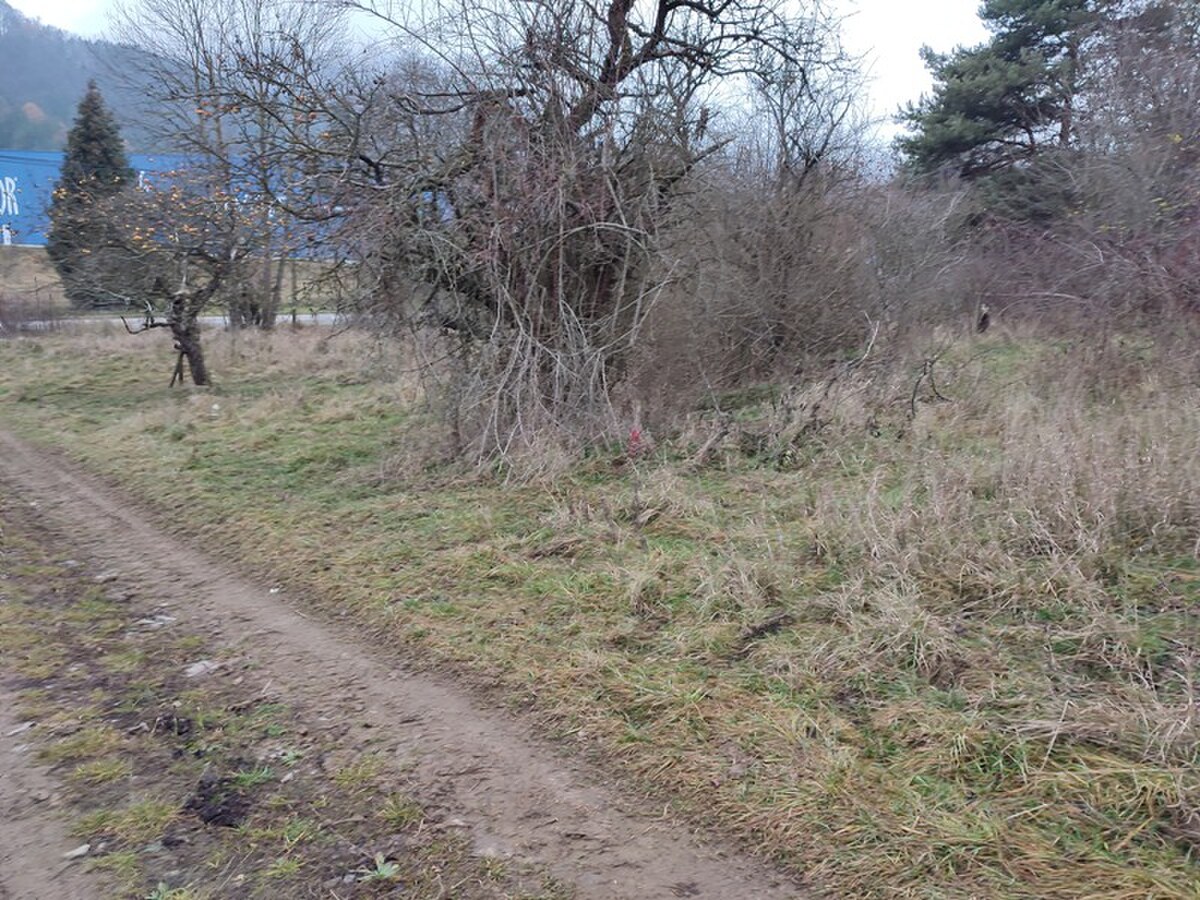 POZEMOK- ZÁHRADA 596 m2 , LIPOVCE. — foto 3