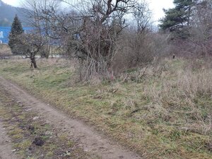 POZEMOK- ZÁHRADA 596 m2 , LIPOVCE. — foto 3