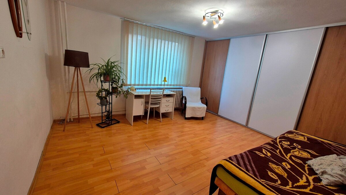 6 IZBOVÝ RODINNÝ DOM, PEKNÁ LOKALITA, PLAVNICA; — foto 10