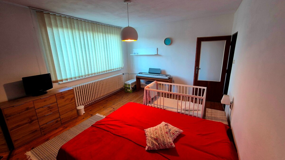 6 IZBOVÝ RODINNÝ DOM, PEKNÁ LOKALITA, PLAVNICA; — foto 13