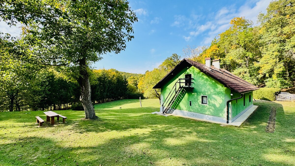 Na predaj rodinný dom (chalupa) V. Uherce v lese – pozemok 2974 m2 — foto 4