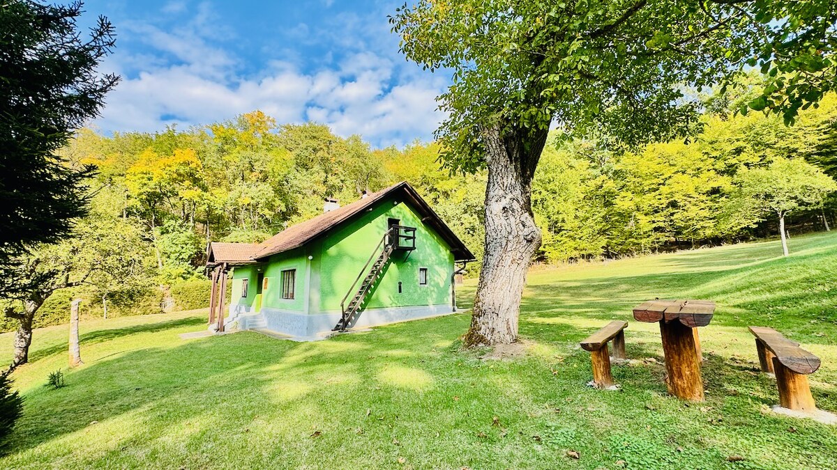 Na predaj rodinný dom (chalupa) V. Uherce v lese – pozemok 2974 m2 — foto 7
