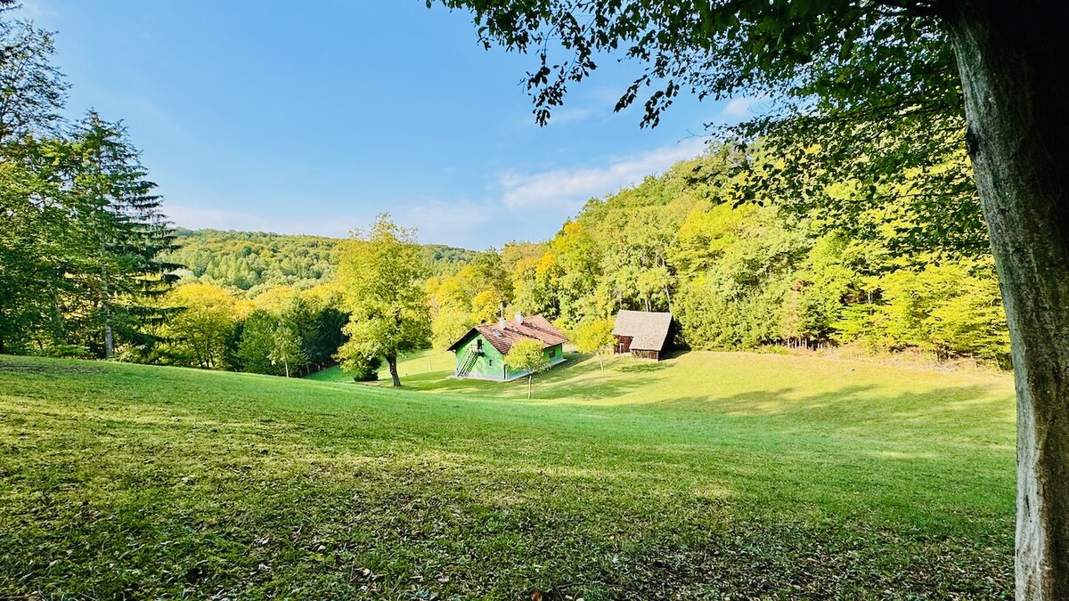 Na predaj rodinný dom (chalupa) V. Uherce v lese – pozemok 2974 m2 — foto 8