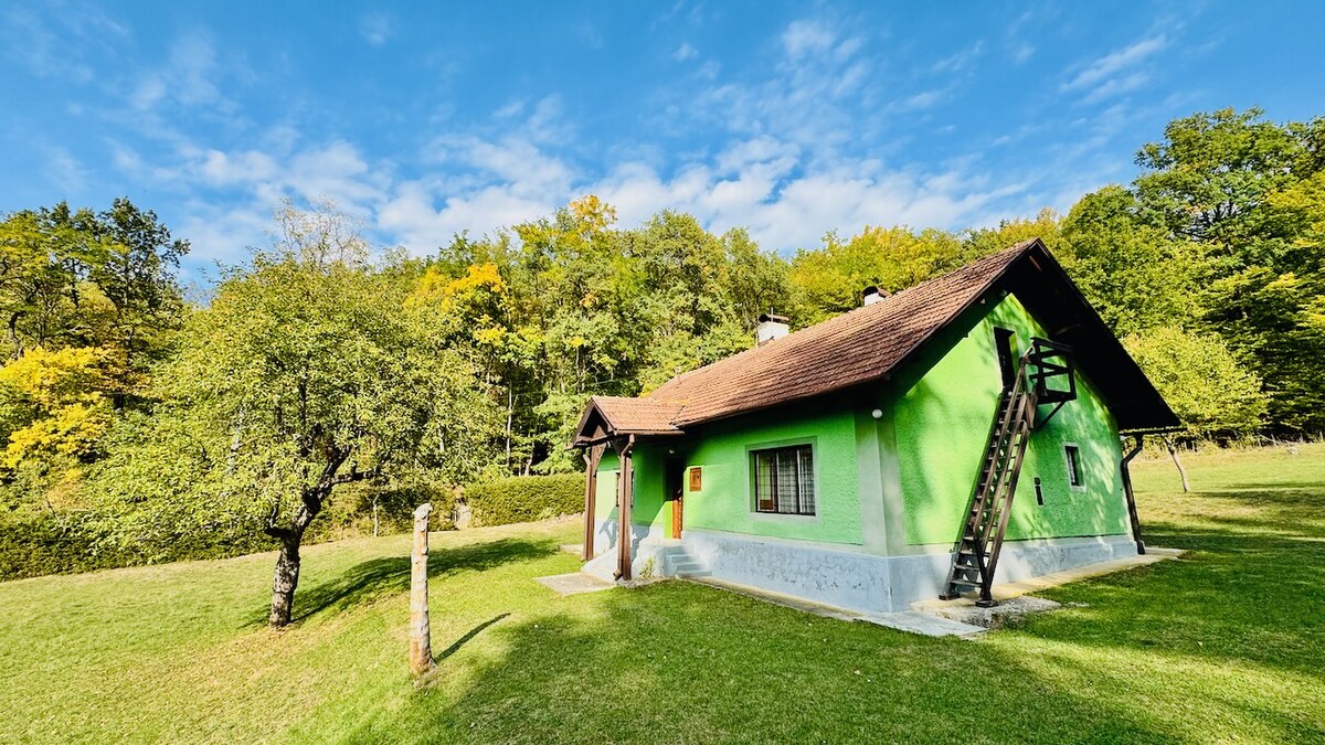 Na predaj rodinný dom (chalupa) V. Uherce v lese – pozemok 2974 m2 — foto 9