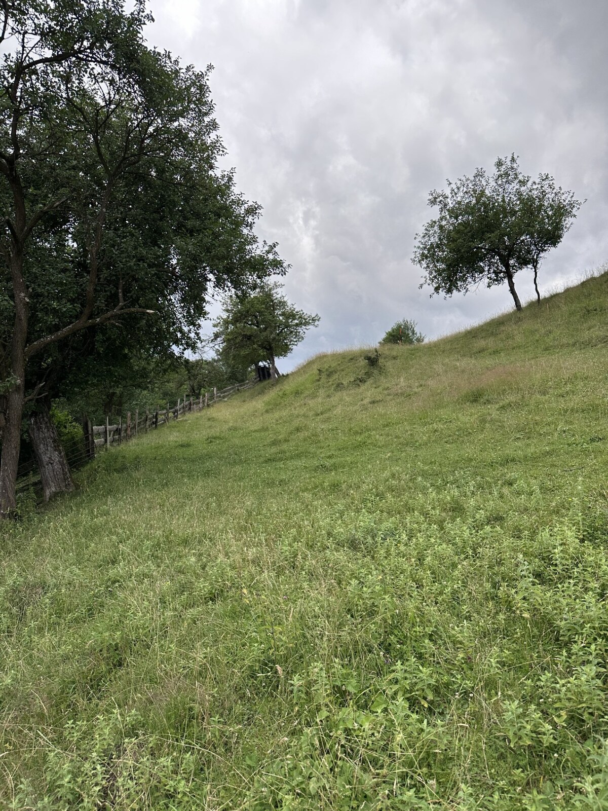 Pozemok na predaj – Horný Vadičov, 1071m2 — foto 4