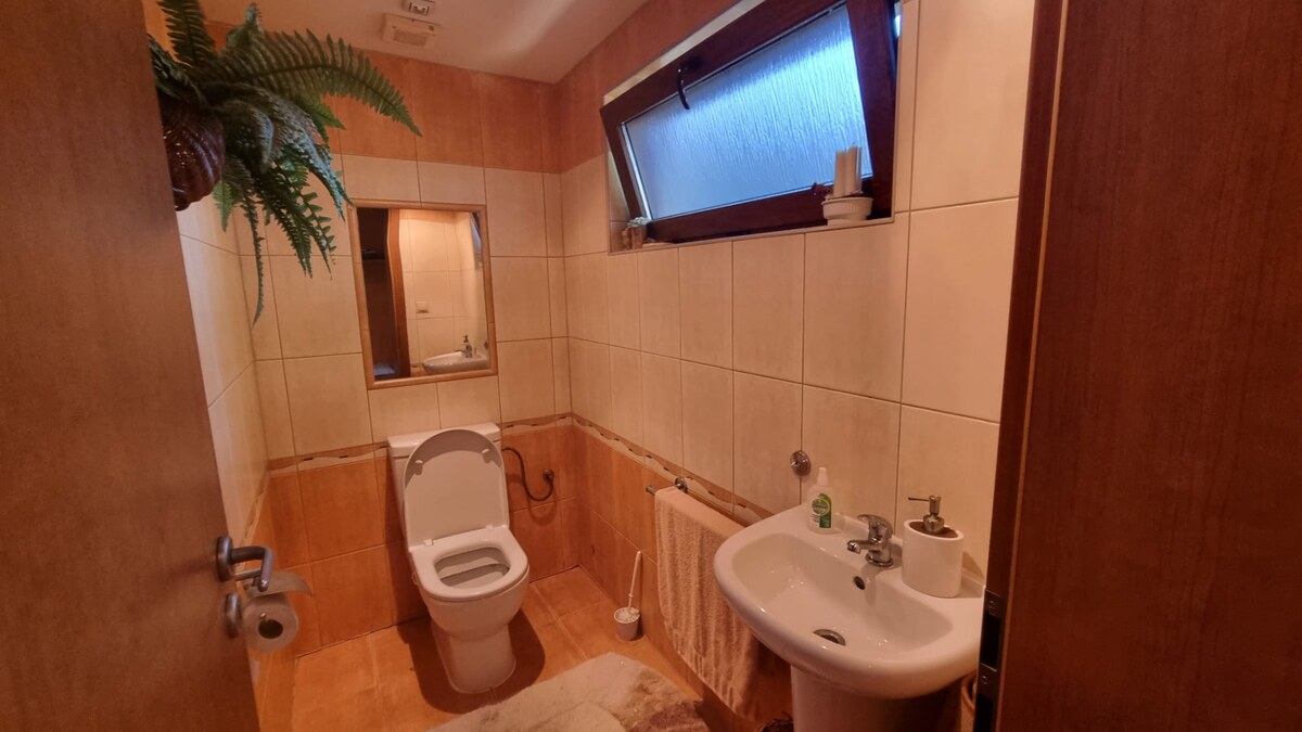 RD Svätoplukovo,  10 á. pozemkom REZERVÁCIA — foto 19